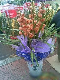 【年宵花批发/花卉礼品卡发售/怡嘉花坊 [此信息已过期]价格_年宵花批发/花卉礼品卡发售/怡嘉花坊 [此信息已过期]厂家】- 