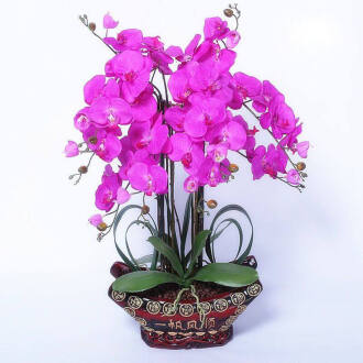 壹束缘鲜花绿植